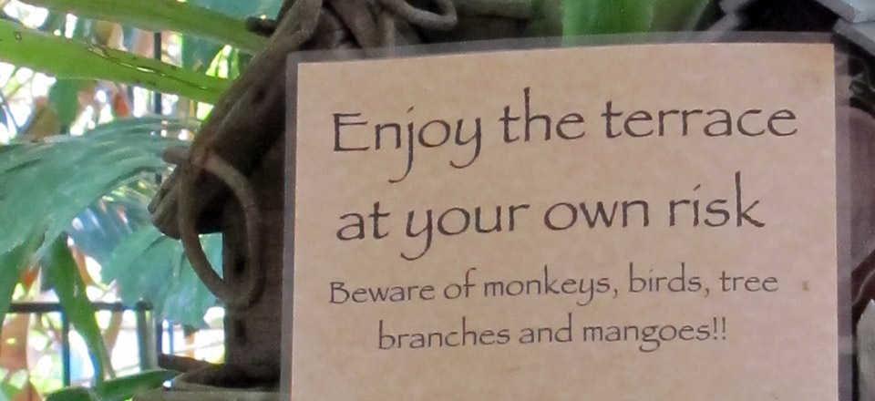 Microwaves and Monkeys in Panama City