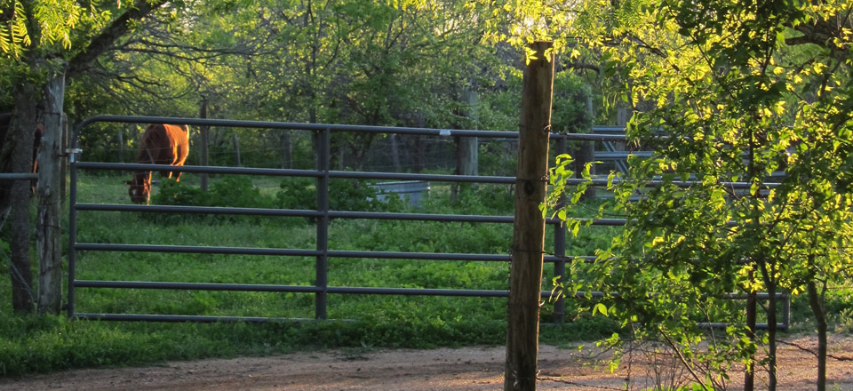 Take Manhattan, Just Give Me the Countryside