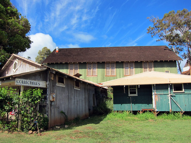waimea-collectibles