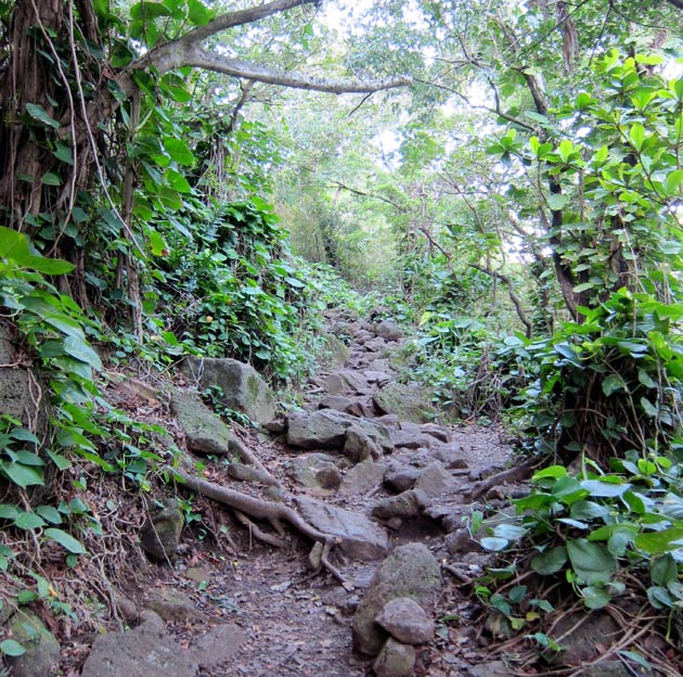 kalalau-trail-rocks